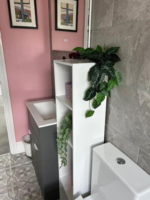 Three Storey Clifton Town House Бристоль Екстер'єр фото